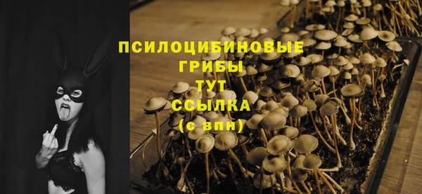 гидропоника Куйбышев