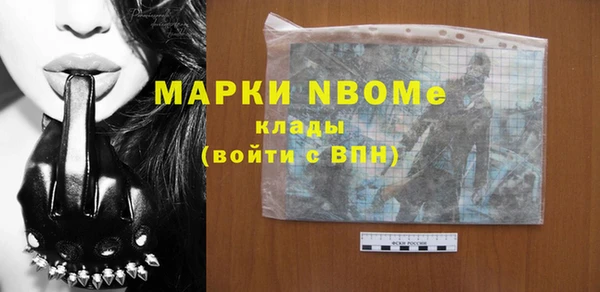 соль ск Кукмор